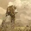 స్టికర్