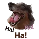 ஸ்டிக்கர்