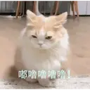 స్టికర్