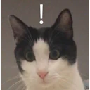 స్టికర్