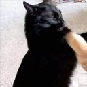 Կպչուն պիտակ