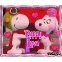 Կպչուն պիտակ