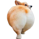 สติกเกอร์