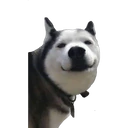 สติกเกอร์