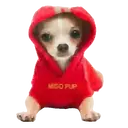 ස්ටිකර්