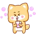 ស្ទីកเกอร์