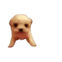 ස්ටිකර්