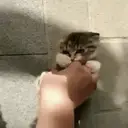 สติกเกอร์