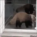 สติกเกอร์