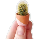 స్టికర్