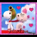 Կպչուն պիտակ