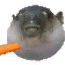 స్టికర్