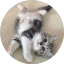 ස්ටිකර්