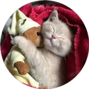 ස්ටිකර්