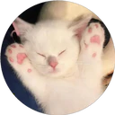 ස්ටිකර්