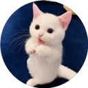 ස්ටිකර්