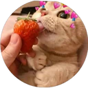 ස්ටිකර්