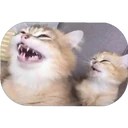 ස්ටිකර්