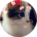 ස්ටිකර්