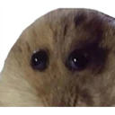 స్టికర్