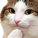 สติกเกอร์