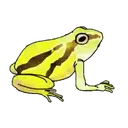 Կպչուն պիտակ