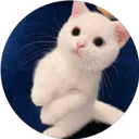 ස්ටිකර්