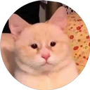 ස්ටිකර්