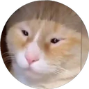 ස්ටිකර්