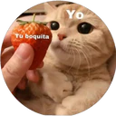 ස්ටිකර්