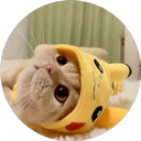 ස්ටිකර්