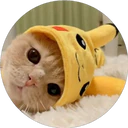 ස්ටිකර්