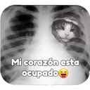 ස්ටිකර්