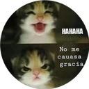 ස්ටිකර්