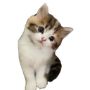 ස්ටිකර්