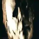 ස්ටිකර්