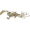 สติกเกอร์