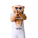 ස්ටිකර්