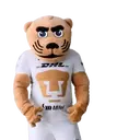 ස්ටිකර්