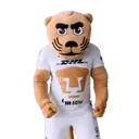 ස්ටිකර්