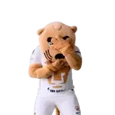 ස්ටිකර්