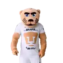 ස්ටිකර්