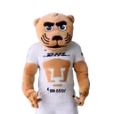 ස්ටිකර්