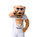 ස්ටිකර්