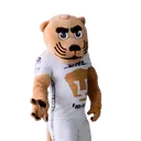 ස්ටිකර්