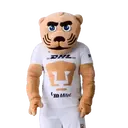 ස්ටිකර්