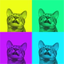 ស្ទីកเกอร์