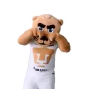 ස්ටිකර්