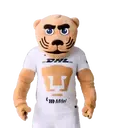 ස්ටිකර්