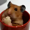 ស្ទីកเกอร์